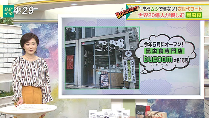 タダイマで紹介されました①